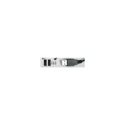 USB Dual language and international keyboards