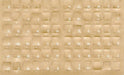 Russian, Cyrillic Keyboard Overlays Stickers, Labels. White Characters, Reverse Print, Transparent for Dark Color Keyboards