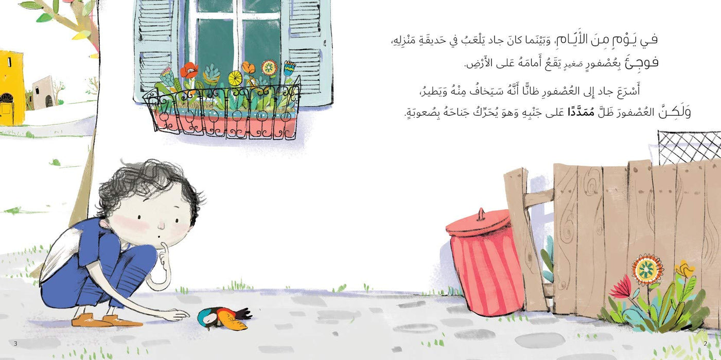 The Bird Flew Written by: Taghreed Najjar, Illustrated by: Aly Zainy Paperback – 2019